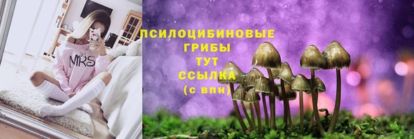 дживик Алексин